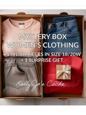 Mystery Box Women's Plus Size 18/20W 4 PCS EUC Clothing + Bonus Gift Surprise